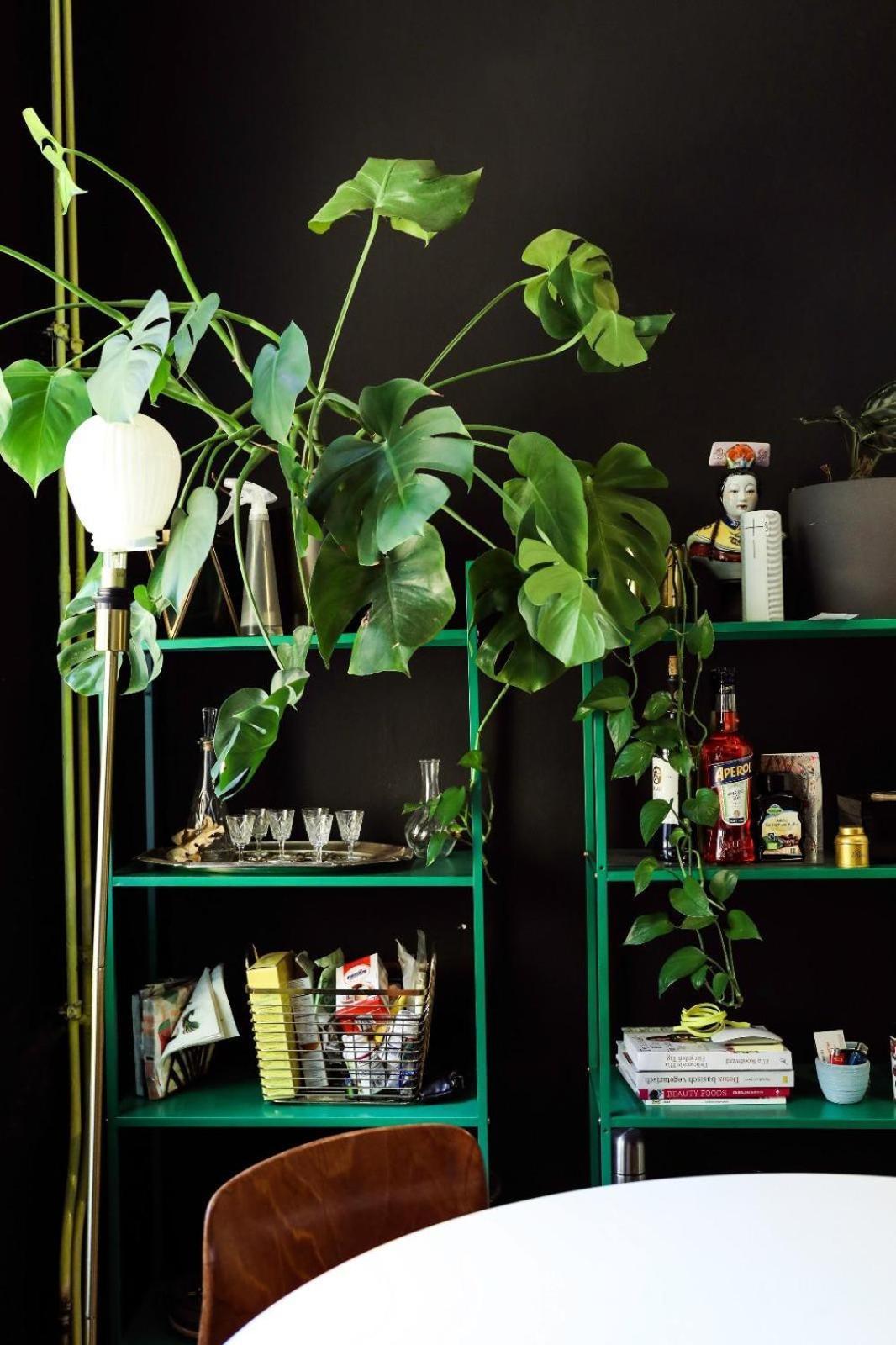 Geishas Charming Gem By Viktoria Park Apartamento